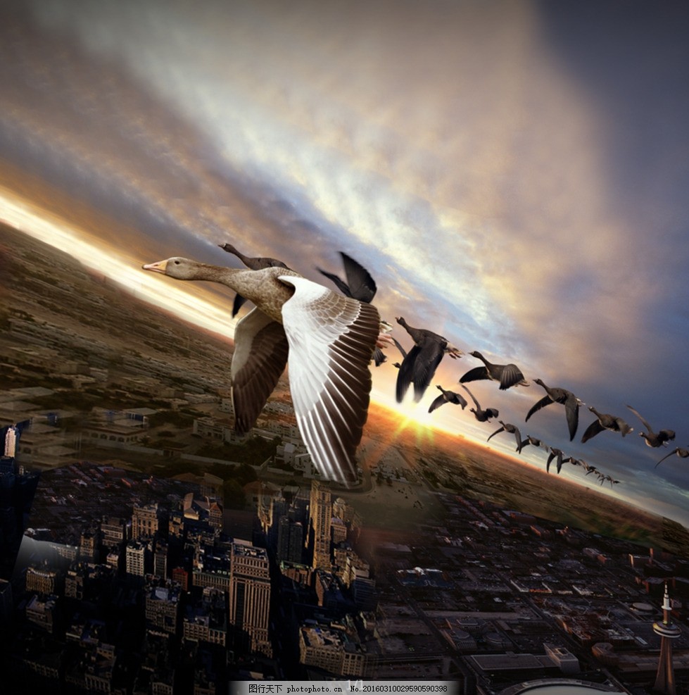 領(lǐng)航未來(lái)，共創(chuàng)輝煌