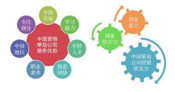 中國青年網(wǎng)發(fā)布2019年度中國十大營銷策劃公司排名，南方略咨詢連續(xù)入榜領(lǐng)銜網(wǎng)絡(luò)營銷策劃